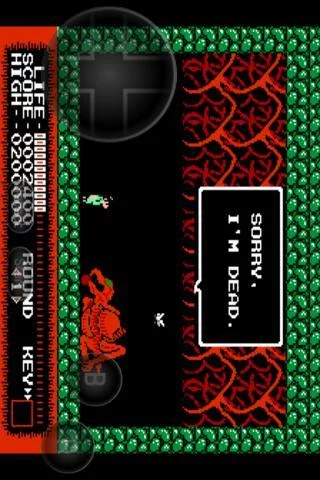 Изображение игры: NES.emu