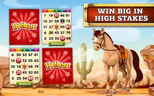Изображение игры: Bingo Cowboy Story