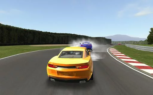 Изображение игры: RSE Racing Free