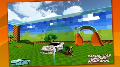 Изображение игры: Multiplayer Racing Simulator