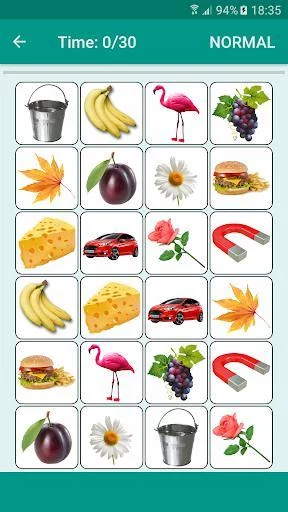 Изображение игры: Brain game. Picture Match.