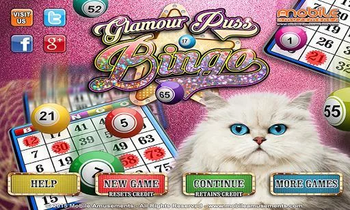 Изображение игры: Glamour Puss Bingo FREE