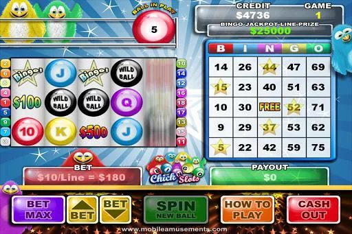 Изображение игры: Bingo Chick Slots FREE