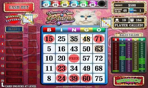 Изображение игры: Glamour Puss Bingo FREE
