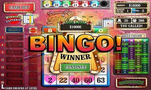 Изображение игры: Glamour Puss Bingo FREE