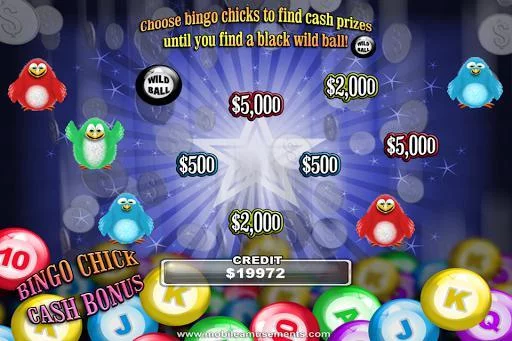 Изображение игры: Bingo Chick Slots FREE