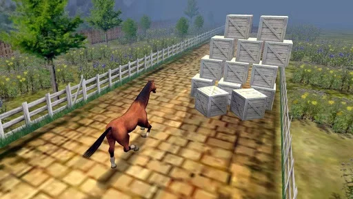 Изображение игры: Horse Games