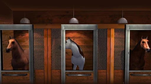Изображение игры: Horse Games