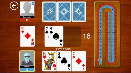 Изображение игры: Cribbage Card Game (Crib Cribble)