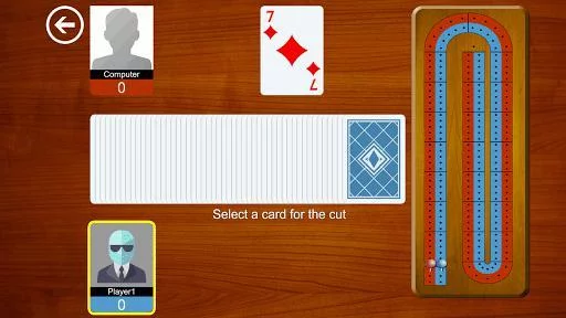 Изображение игры: Cribbage Card Game (Crib Cribble)