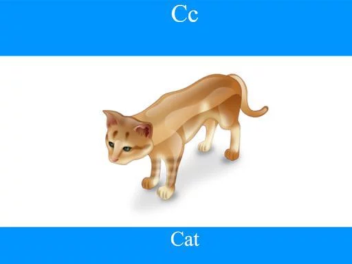 Изображение игры: ABC Flash Cards