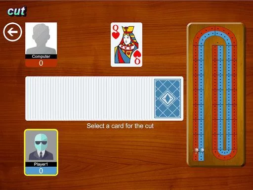 Изображение игры: Cribbage Card Game (Crib Cribble)