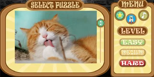 Изображение игры: Make Your Puzzle