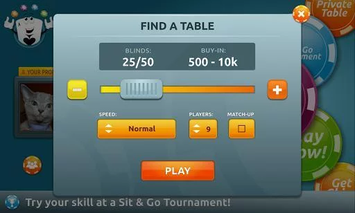 Изображение игры: Syrious Poker