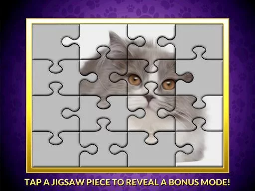 Изображение игры: Casino Cash Cats Slots PAID