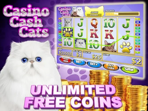 Изображение игры: Casino Cash Cats Kitty Slots