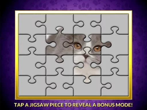 Изображение игры: Casino Cash Cats Kitty Slots