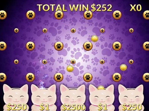 Изображение игры: Casino Cash Cats Kitty Slots