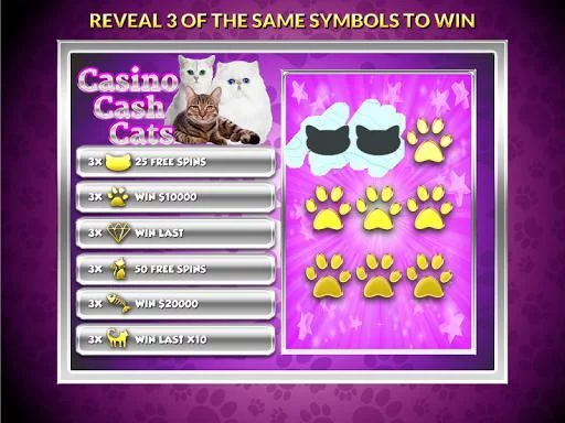 Изображение игры: Casino Cash Cats Kitty Slots