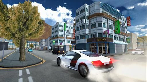 Изображение игры: Extreme Turbo Racing Simulator