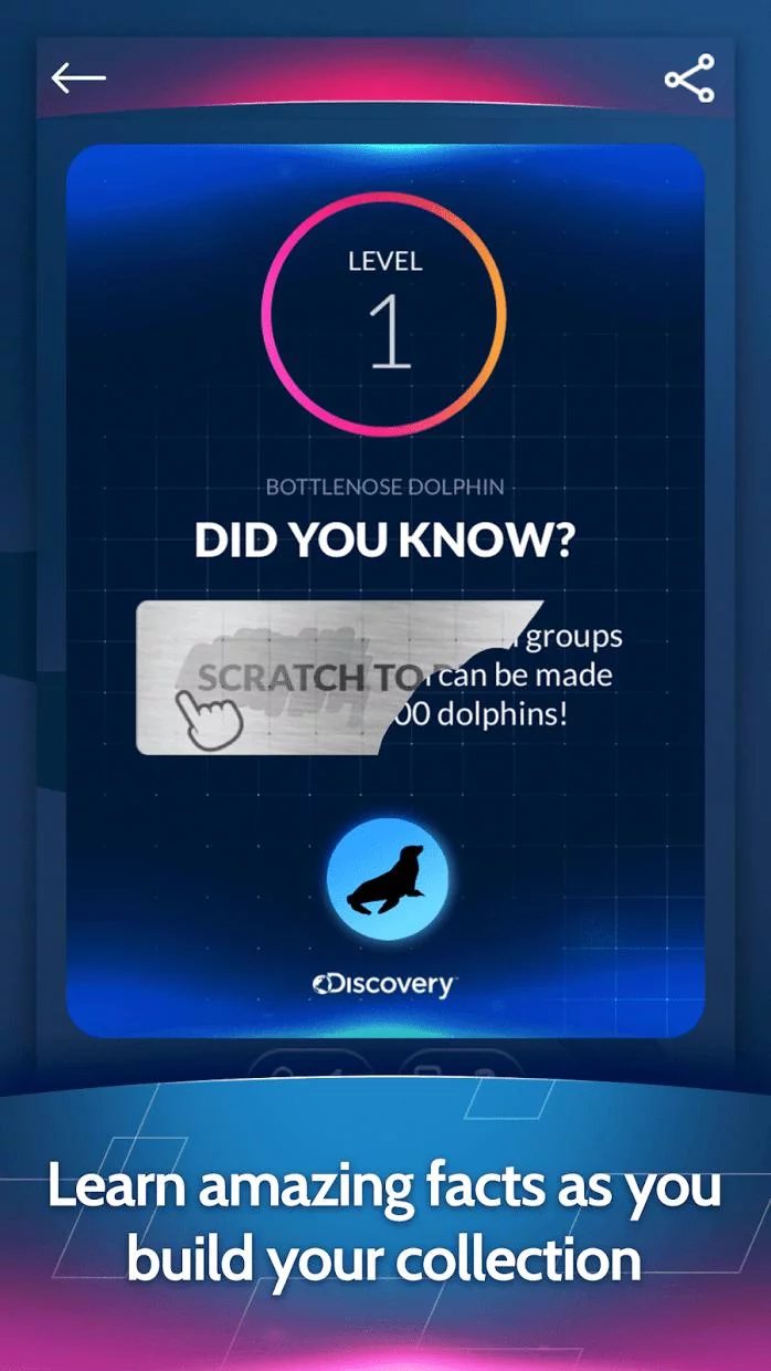 Изображение игры: Discovery Card Quest