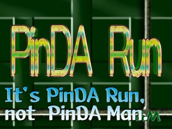 Изображение игры: PinDA Run