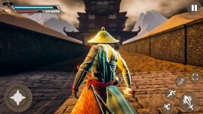 Изображение игры: Samurai Assassin Hack n Slash
