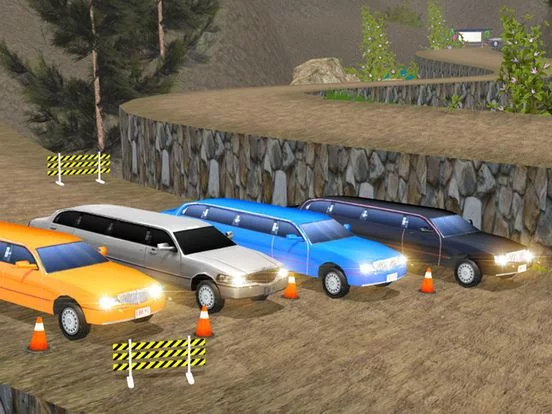 Изображение игры: Limo Driver free 3D simulator 2017