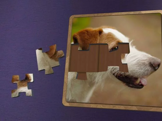Изображение игры: Super Jigsaws Dogs