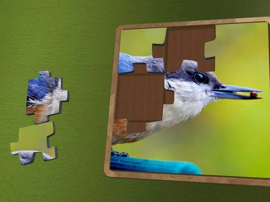 Изображение игры: Super Jigsaws Birds