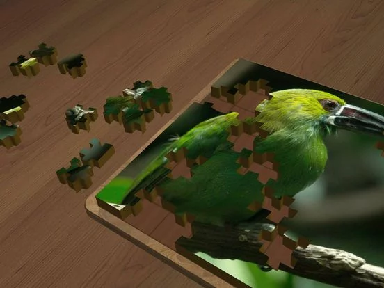 Изображение игры: Super Jigsaws Birds