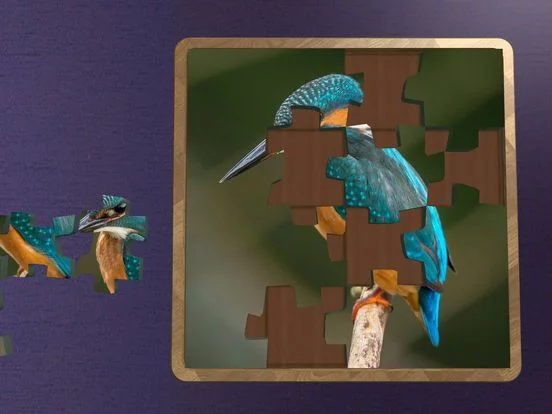 Изображение игры: Super Jigsaws Birds