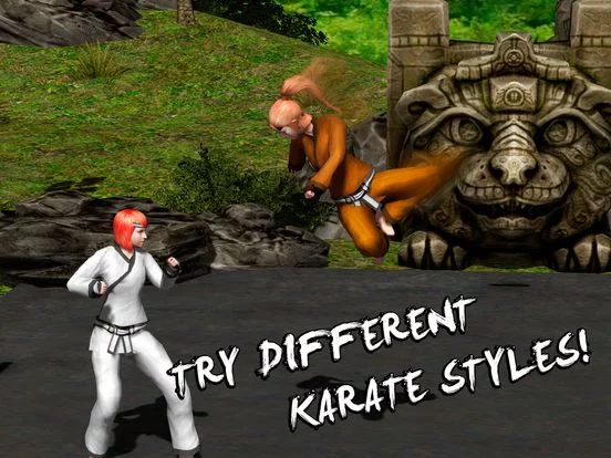 Изображение игры: Karate Do Fighting Tiger 3D