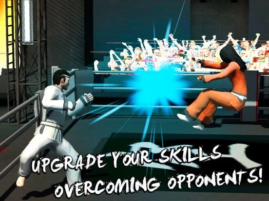 Изображение игры: Karate Do Fighting Tiger 3D