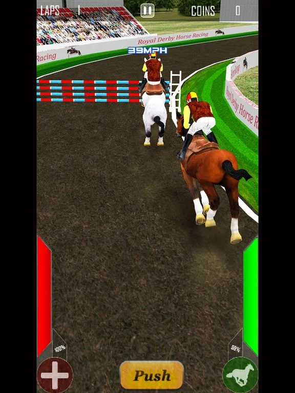 Изображение игры: Royal Derby Horse Racing