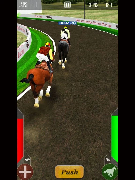 Изображение игры: Royal Derby Horse Racing
