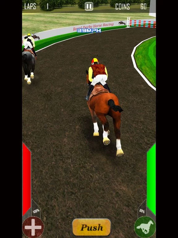 Изображение игры: Royal Derby Horse Racing