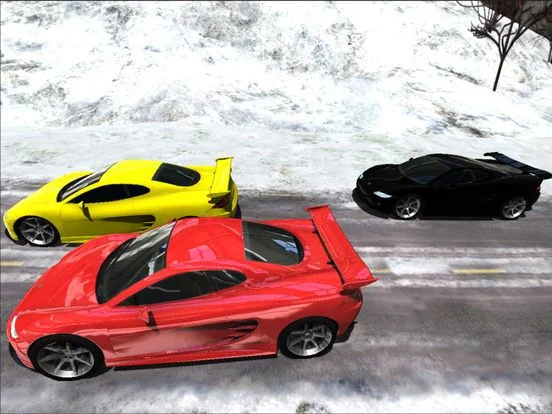 Изображение игры: Sports Cars Racing Winter