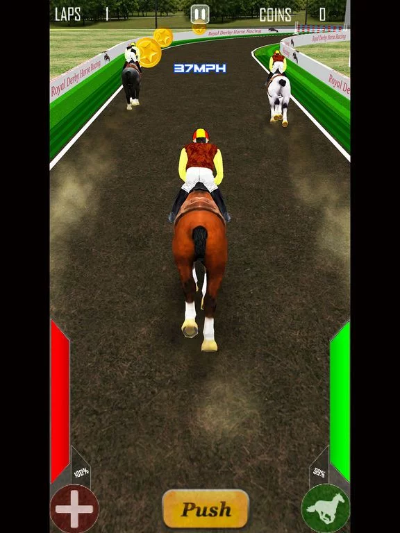 Изображение игры: Royal Derby Horse Racing