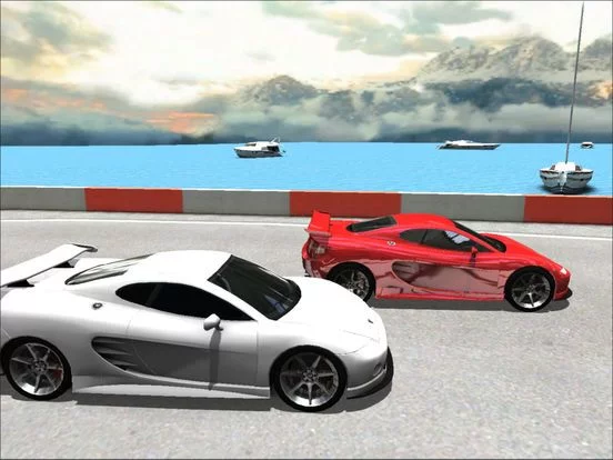 Изображение игры: Sports Cars Racing