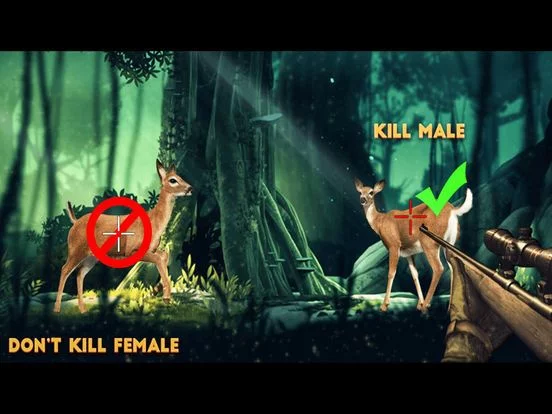 Изображение игры: Jungle Sniper Hunting