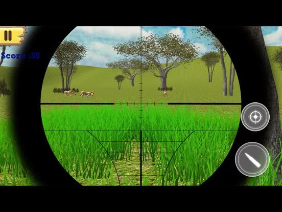 Изображение игры: Forest Animal Hunting