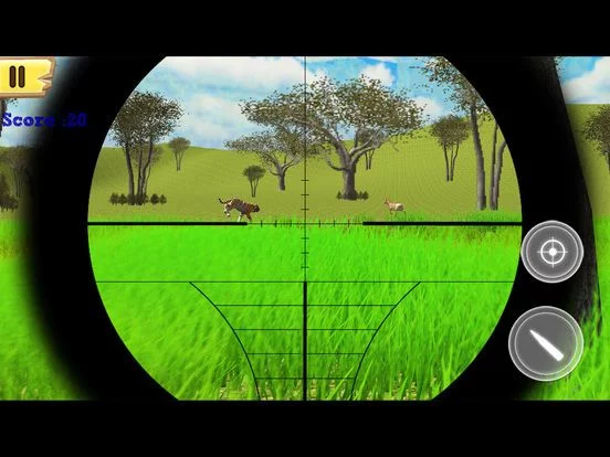 Изображение игры: Forest Animal Hunting