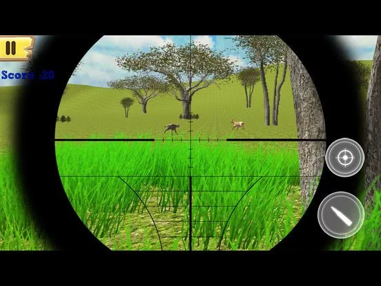 Изображение игры: Forest Animal Hunting