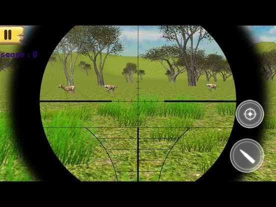 Изображение игры: Forest Animal Hunting