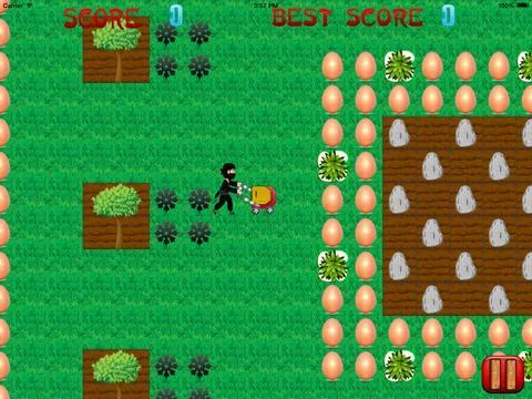 Изображение игры: Ninja Lawn Mowing Madness