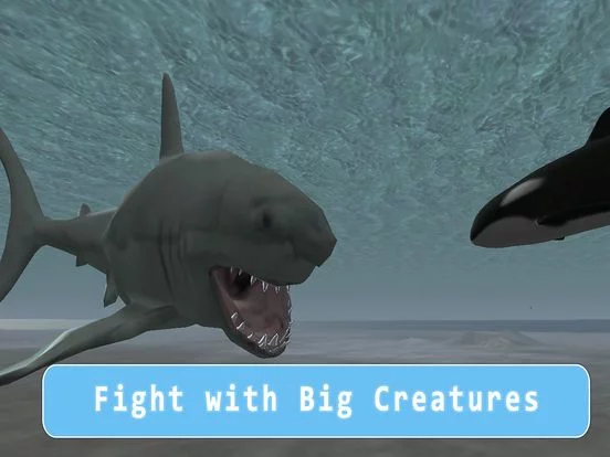 Изображение игры: Orca Killer Whale Survival Simulator 3D - Play as orca, big ocean predator!