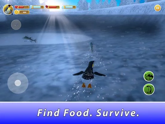 Изображение игры: Penguin Family Simulator