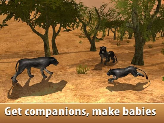 Изображение игры: Black Wild Panther Simulator 3D - Be a wild cat in animal simulator!