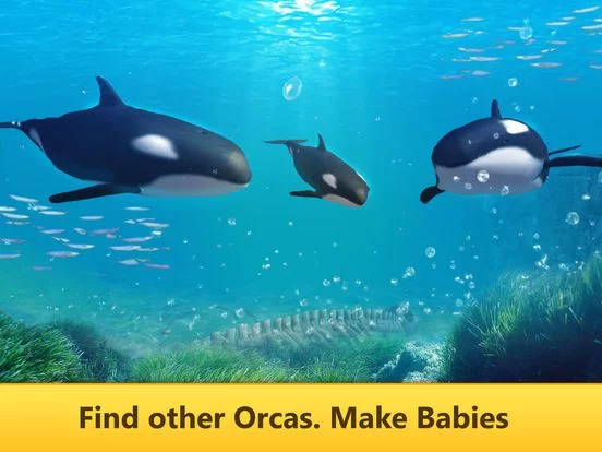 Изображение игры: Ocean Whale Orca Simulator: Animal Quest 3D